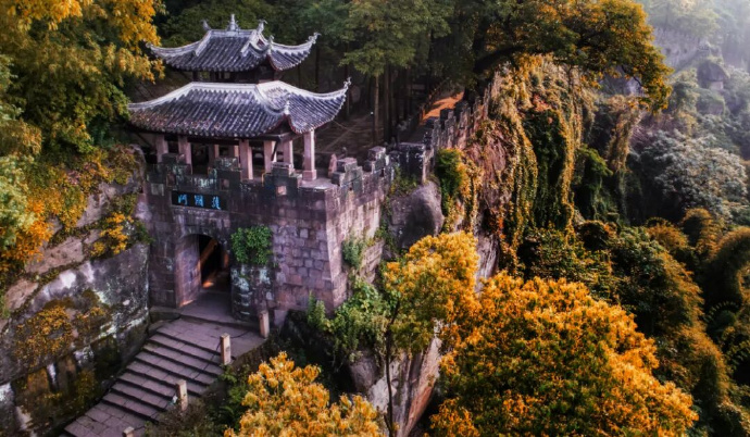 今日大赛 头图